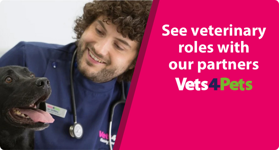 See veterinary roles with our partners Vets4Pets